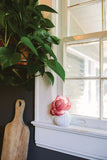 Sweet Grace Flower Diffuser by Bridgewater Candle Company