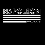 Napoleon Retro