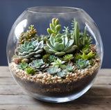 Terrarium Bar workshop