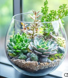 Terrarium Bar workshop