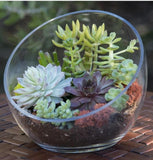 Terrarium Bar workshop