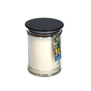 After The Rain 18oz Large Jar Candle by Bridgewater Candle Company